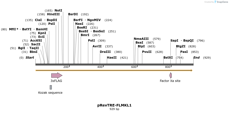 33476_map