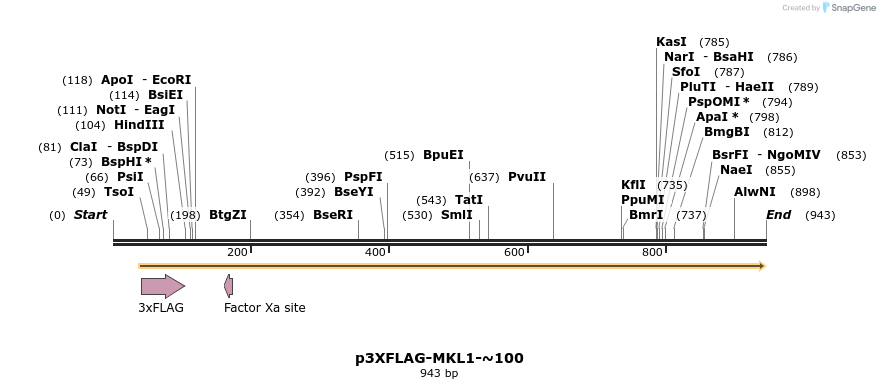 33479_map