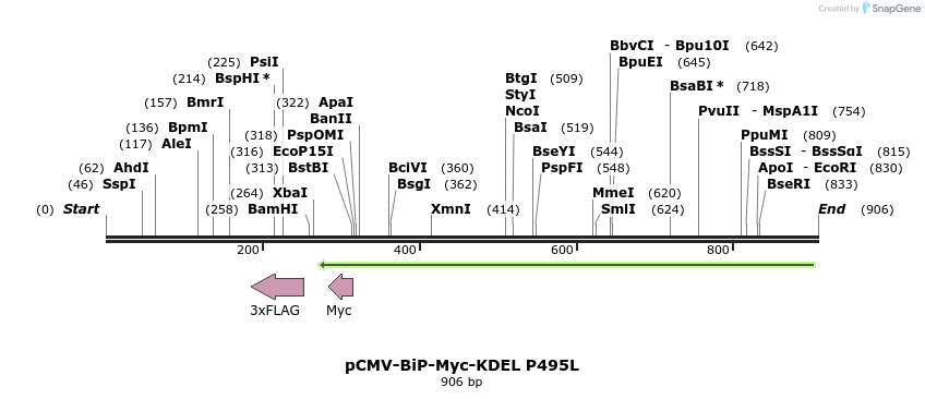 33481_map