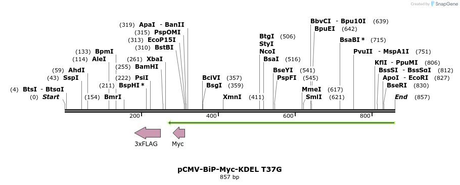 33482_map
