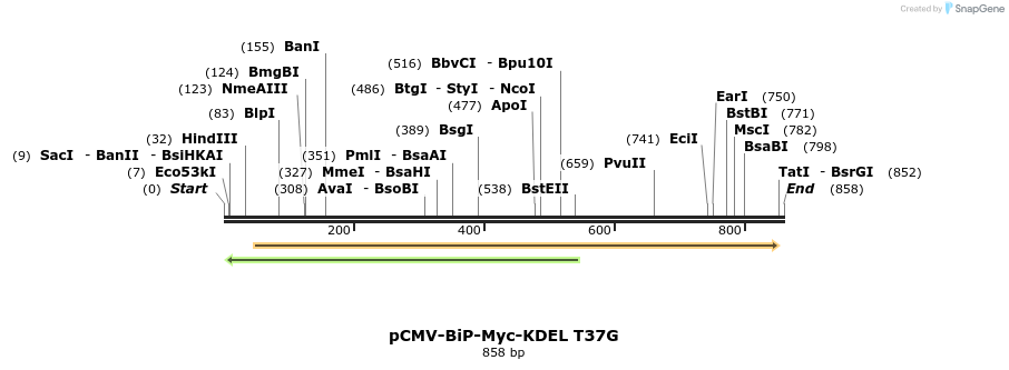 33483_map