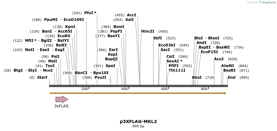 33485_map