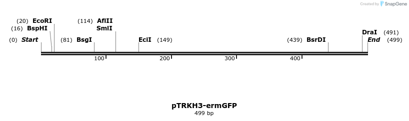 33497_map