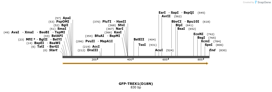 33502_map