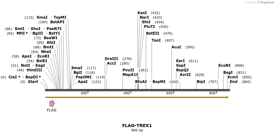 33503_map