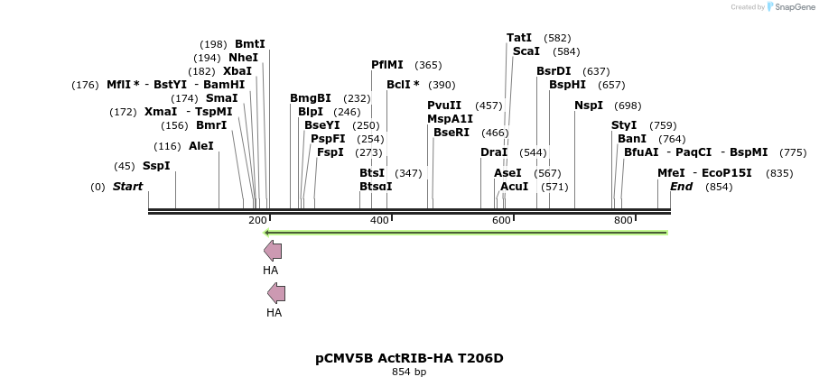 33504_map