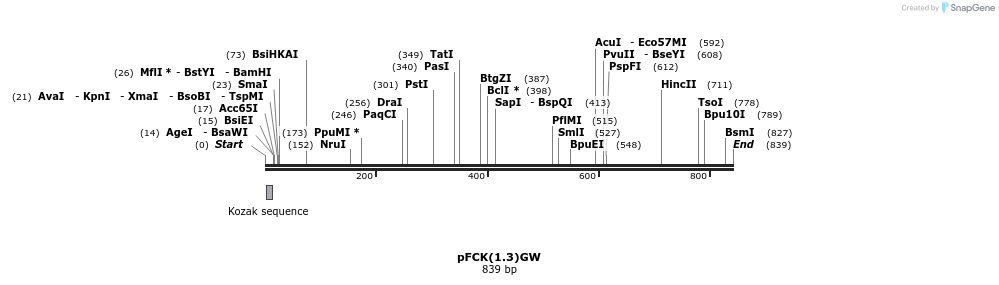 33512_map
