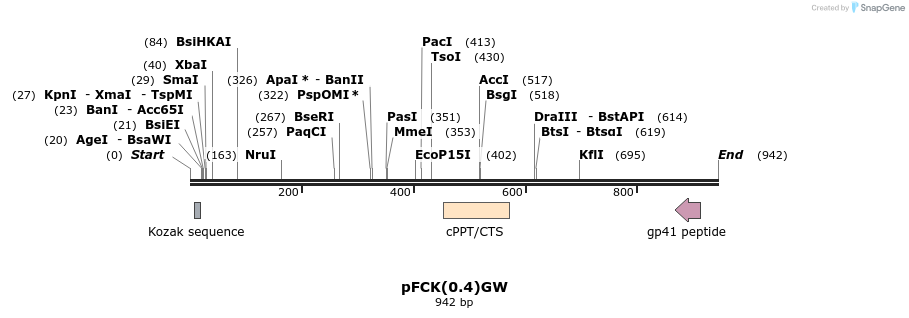 33513_map