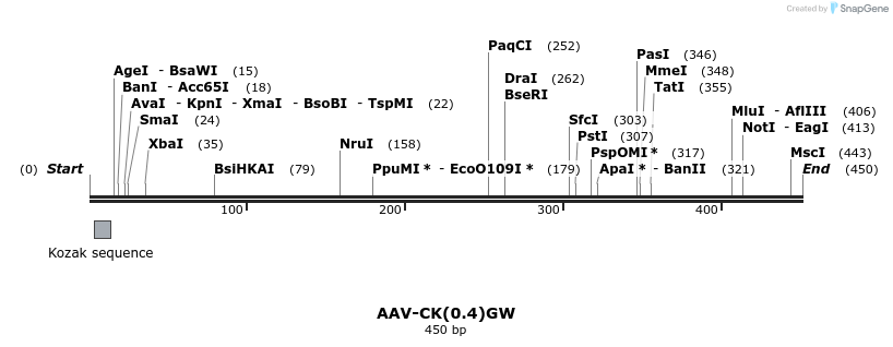 33514_map