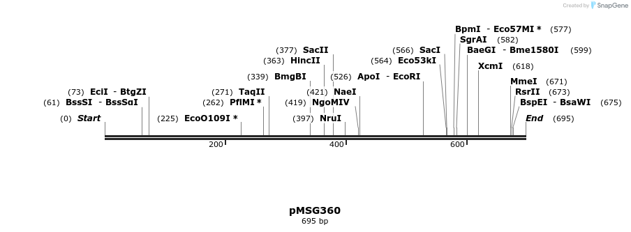 33516_map