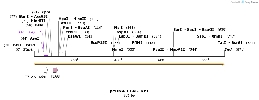 33518_map