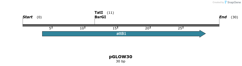 335180_map