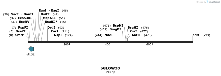 335182_map