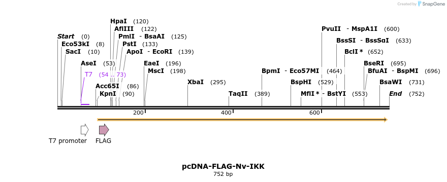 33528_map