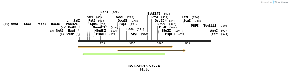 33544_map