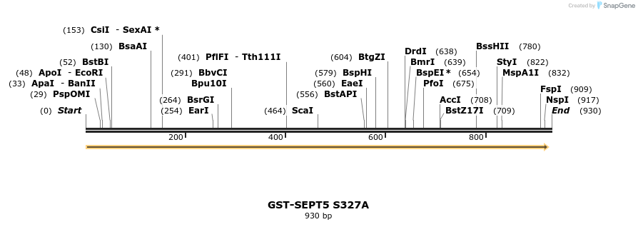 33545_map