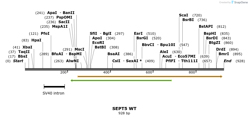 33546_map
