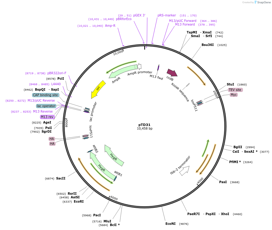 335472_map