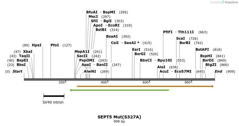 33549_map