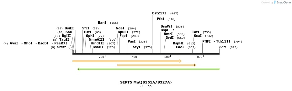 33550_map