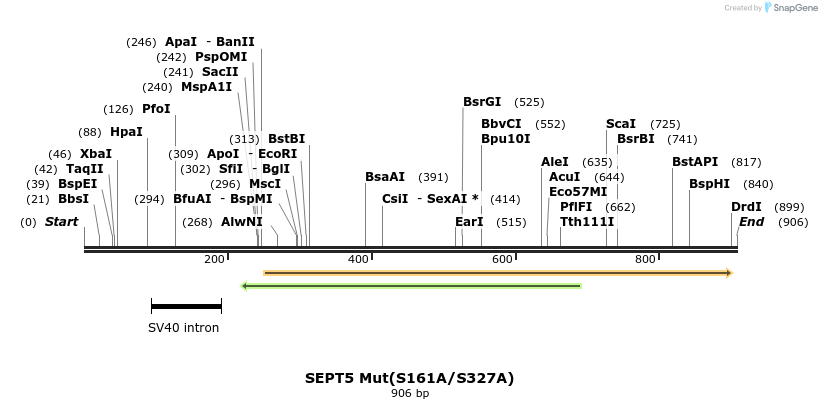 33551_map