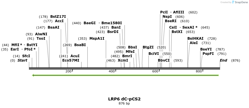 33553_map