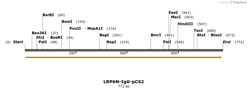 33554_map