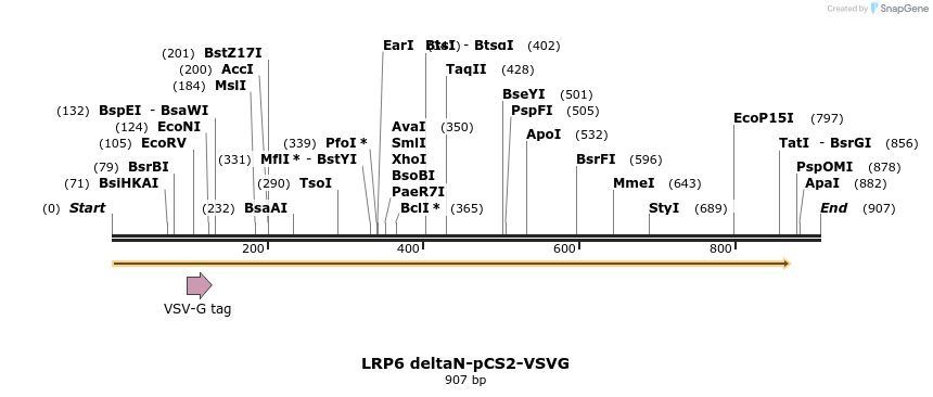33556_map