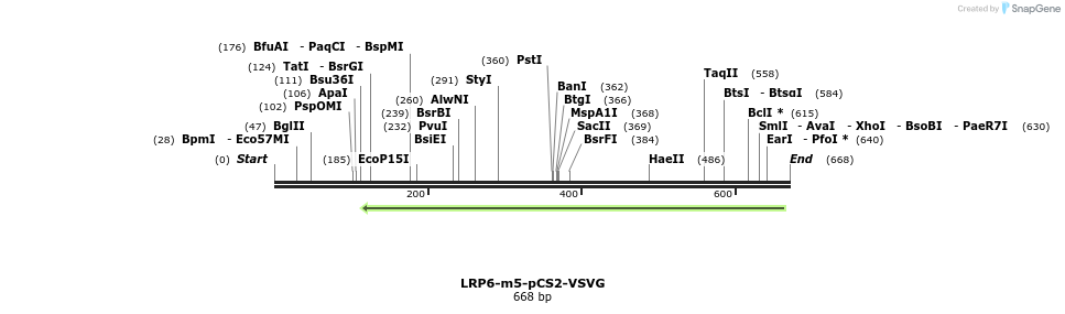 33558_map
