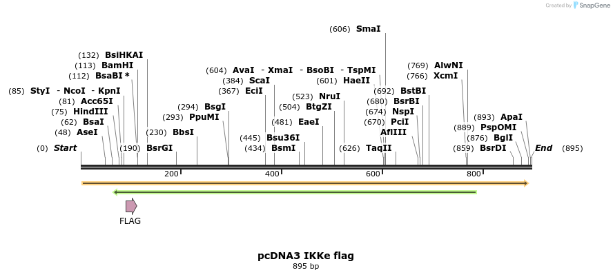 33566_map