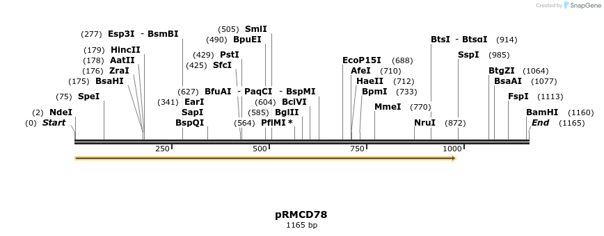 335711_map