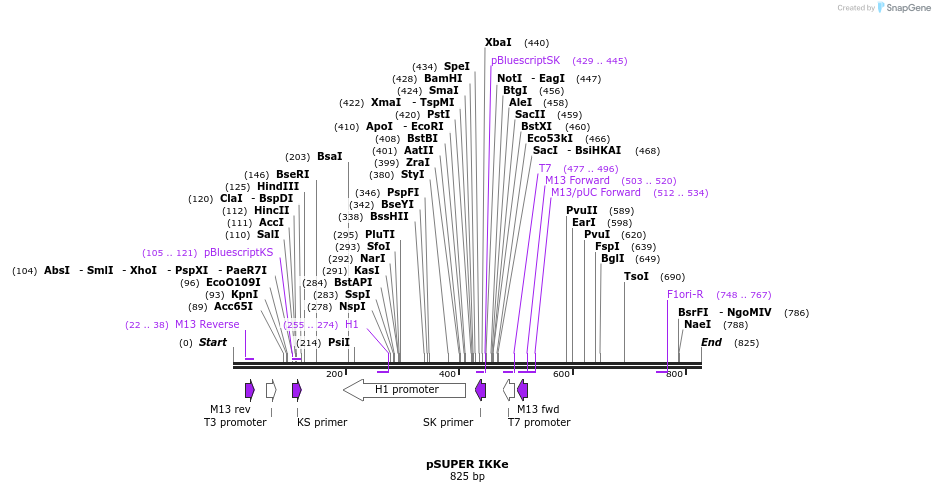 33572_map