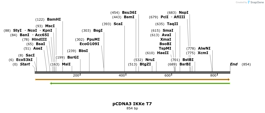 33573_map
