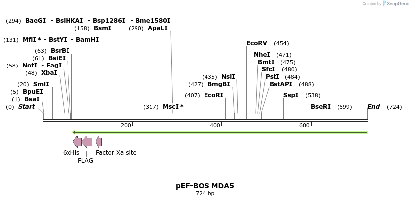 33576_map