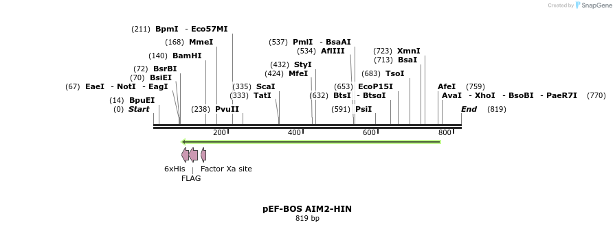 33581_map