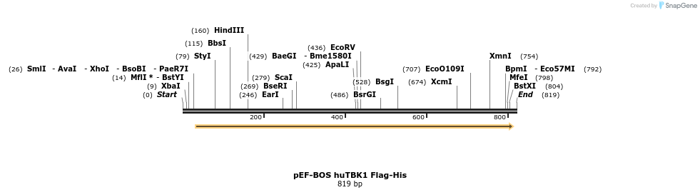 33583_map