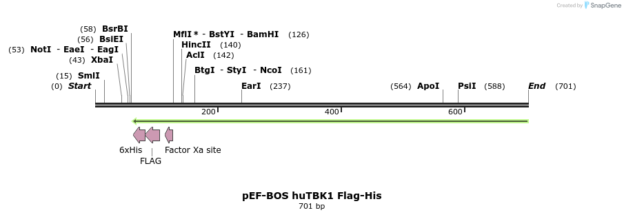 33584_map