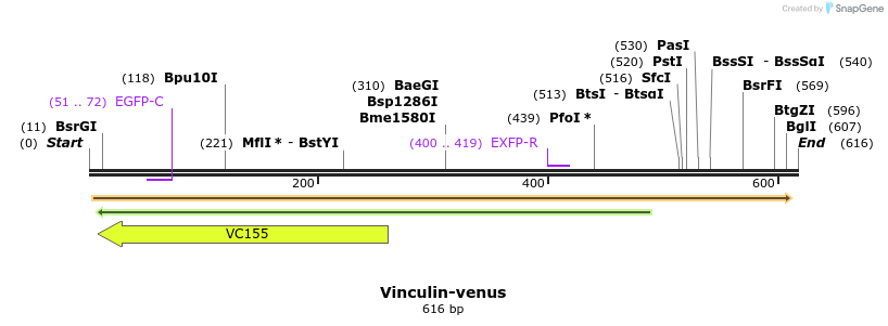 33585_map