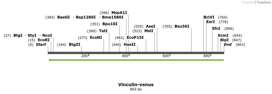 33586_map