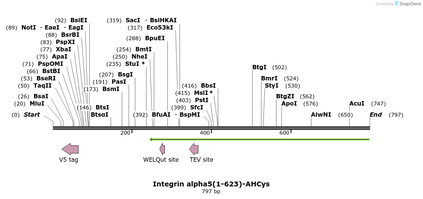 33589_map