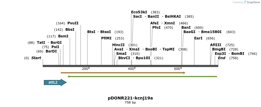 335936_map