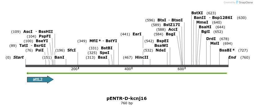 335937_map