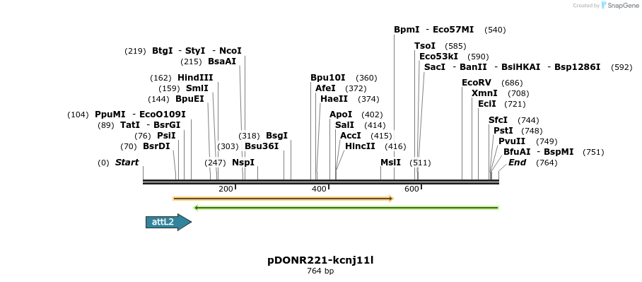 335957_map