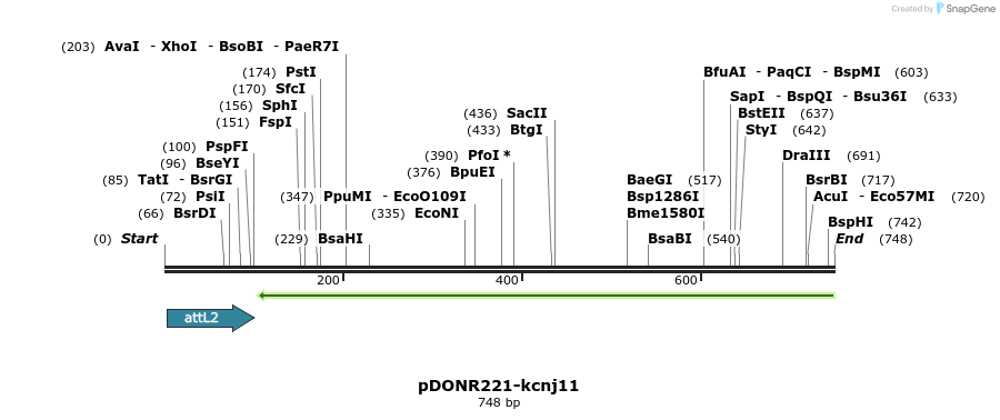 335962_map