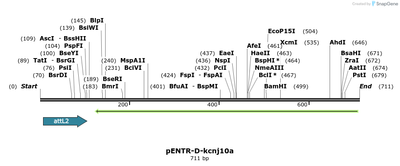 335966_map