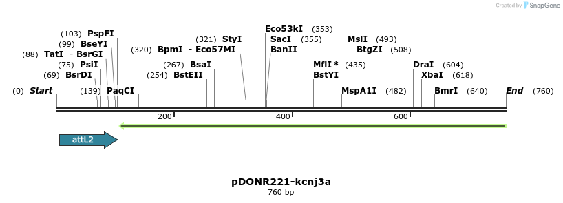 335987_map