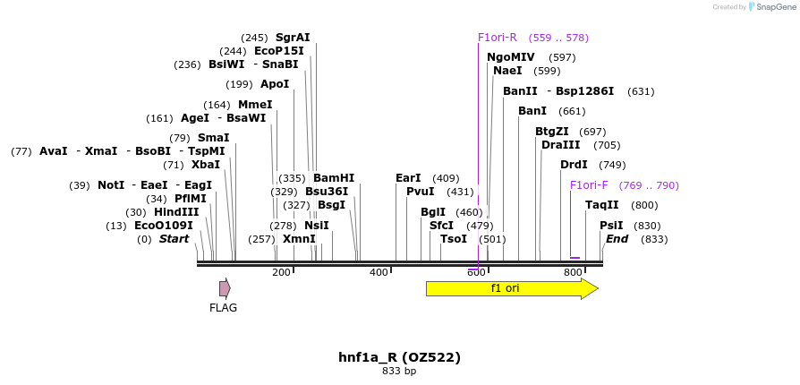 33600_map