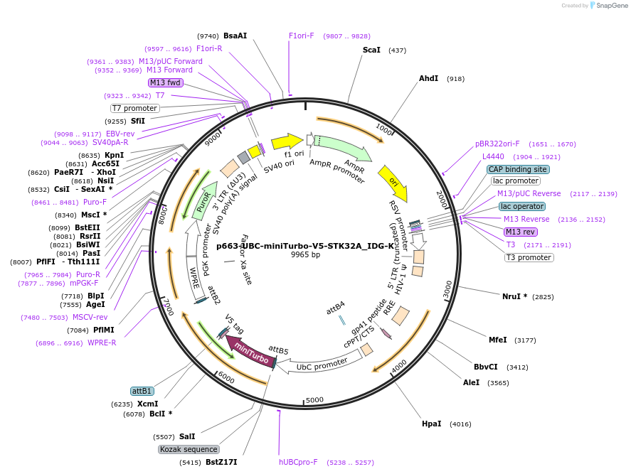 336003_map