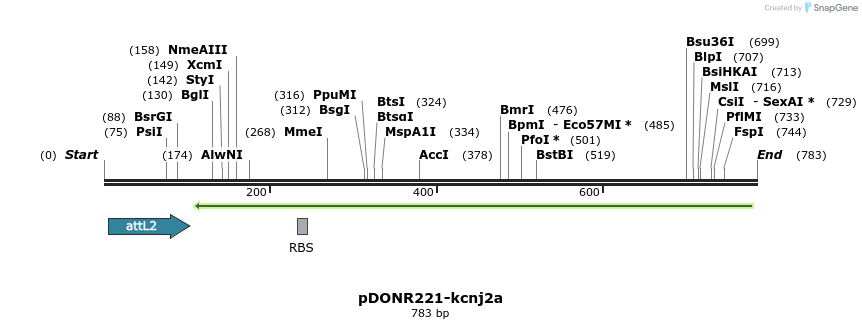 336004_map