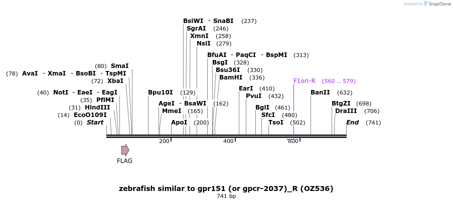 33602_map